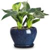 image:imagevicrays Ceramic Plant Pots Indoor  65 Inch Planter Pot with Drainage Hole and Saucer for Succulent Orchid Flower Herbs Cactus  Ideal for Gardening Home Desktop Office Decor  RedBlue