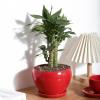 image:imagevicrays Ceramic Plant Pots Indoor  65 Inch Planter Pot with Drainage Hole and Saucer for Succulent Orchid Flower Herbs Cactus  Ideal for Gardening Home Desktop Office Decor  RedRed