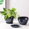 image:imagevicrays Ceramic Plant Pots Indoor  65 Inch Planter Pot with Drainage Hole and Saucer for Succulent Orchid Flower Herbs Cactus  Ideal for Gardening Home Desktop Office Decor  RedBlue