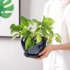 image:imagevicrays Ceramic Plant Pots Indoor  65 Inch Planter Pot with Drainage Hole and Saucer for Succulent Orchid Flower Herbs Cactus  Ideal for Gardening Home Desktop Office Decor  RedBlue