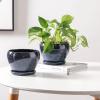 image:imagevicrays Ceramic Plant Pots Indoor  65 Inch Planter Pot with Drainage Hole and Saucer for Succulent Orchid Flower Herbs Cactus  Ideal for Gardening Home Desktop Office Decor  RedBlue