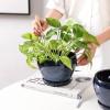 image:imagevicrays Ceramic Plant Pots Indoor  65 Inch Planter Pot with Drainage Hole and Saucer for Succulent Orchid Flower Herbs Cactus  Ideal for Gardening Home Desktop Office Decor  RedBlue