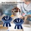 image:imageVicrays Ceramic Cat Bowl Set  Cat Food Feeding Bowls for Indoor Cats Whisker Friendly Cute Cat Dish Plates Microwave amp Dishwasher Safe 2 Pack 11 oz 64 inch Blue