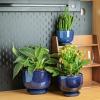 image:imagevicrays Ceramic Plant Pots Indoor  685543 Inch Planter Pot with Drainage Hole and Saucer for Succulent Orchid Flower Herbs Cactus  Gardening Home Desktop Office Decor  Set of 3 Blue