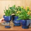image:imagevicrays Ceramic Plant Pots Indoor  685543 Inch Planter Pot with Drainage Hole and Saucer for Succulent Orchid Flower Herbs Cactus  Gardening Home Desktop Office Decor  Set of 3 Blue