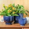 image:imagevicrays Ceramic Plant Pots Indoor  685543 Inch Planter Pot with Drainage Hole and Saucer for Succulent Orchid Flower Herbs Cactus  Gardening Home Desktop Office Decor  Set of 3 Blue