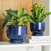 image:imagevicrays Ceramic Plant Pots Indoor  685543 Inch Planter Pot with Drainage Hole and Saucer for Succulent Orchid Flower Herbs Cactus  Gardening Home Desktop Office Decor  Set of 3 Blue