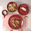 image:imagevicrays Ceramic Dinner Plates Set  Porcelain 10 Inch Flat Steak Pasta Pizza Plate Home Party Restaurant Plate Scratch Resistant Microwave Oven and Dishwasher Safe Set of 6 BlueCherry Red