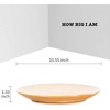 image:imagevicrays Ceramic Dinner Plates Set  Porcelain 10 Inch Flat Steak Pasta Pizza Plate Home Party Restaurant Plate Scratch Resistant Microwave Oven and Dishwasher Safe Set of 6 Cherry RedBeige